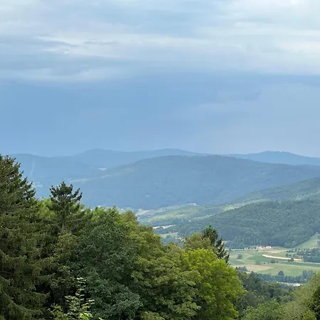 Appartement Urig Mitten Im Bayerischen Wald Mit Traumhaften Fernblick Wlan Kostenfrei *