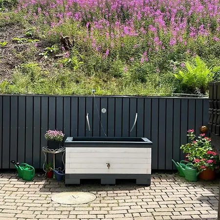 Appartement Urig Mitten Im Bayerischen Wald Mit Traumhaften Fernblick Wlan Kostenfrei *