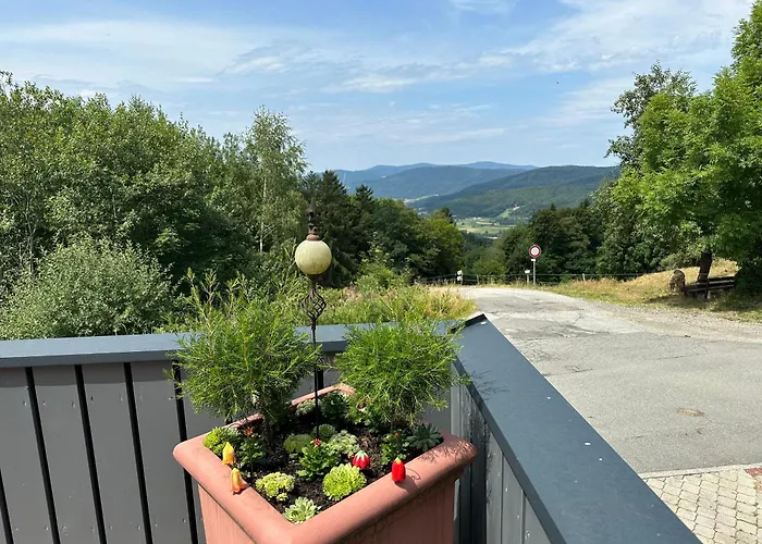 Appartement Urig Mitten Im Bayerischen Wald Mit Traumhaften Fernblick Wlan Kostenfrei *